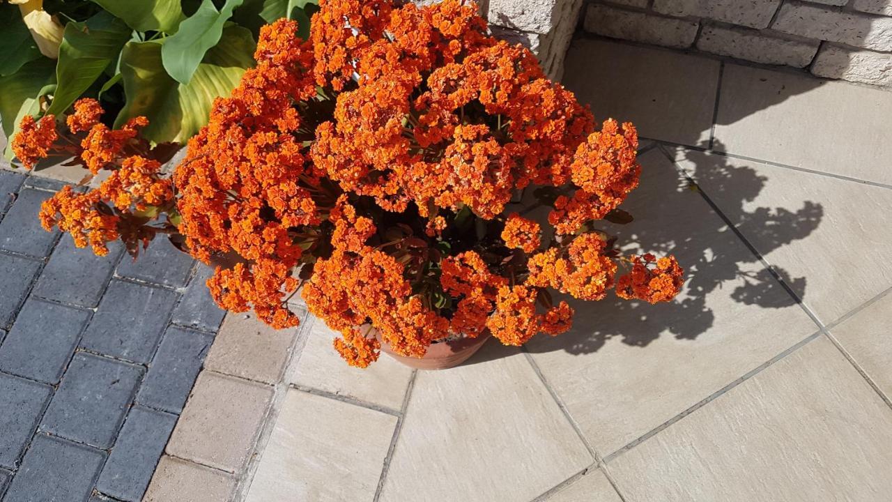 Besigheim Bed & Breakfast Stellenbosch Dış mekan fotoğraf